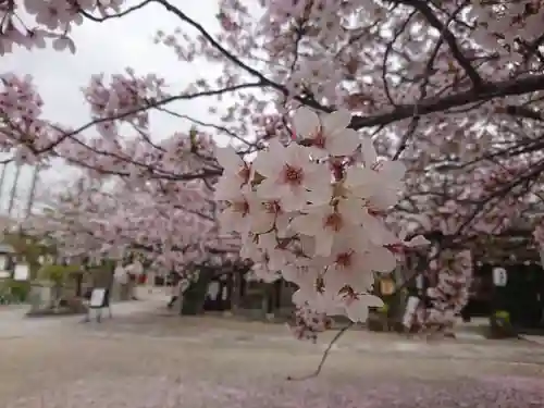 阿部野神社の自然