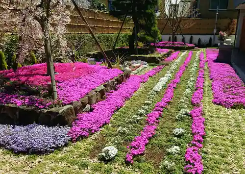 寿量山　速成寺の庭園