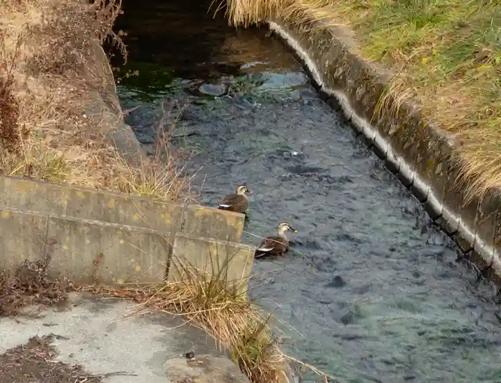 御座石神社(長野県)