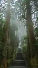 箱根神社の建物その他