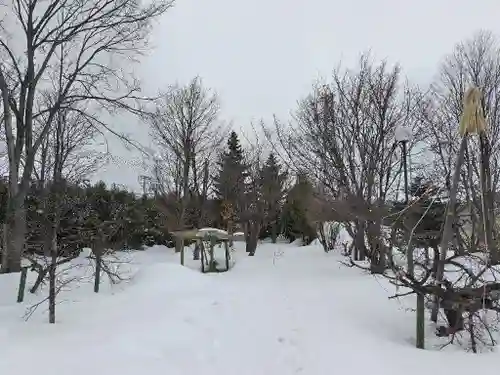 美瑛神社の自然