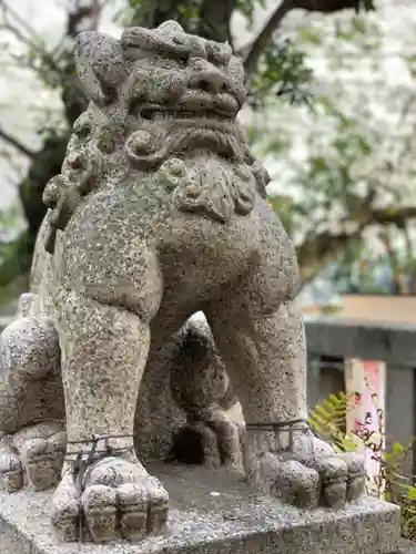 猿江神社の狛犬