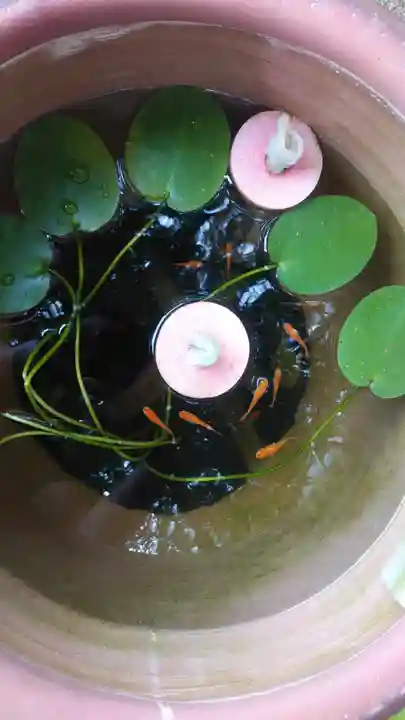 観音寺のその他建物