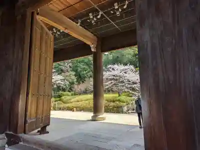 知恩院(京都府)