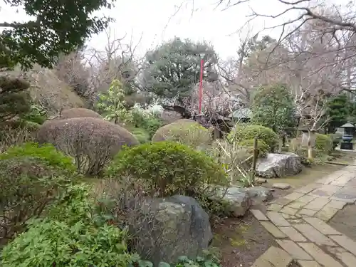 興禅寺の庭園