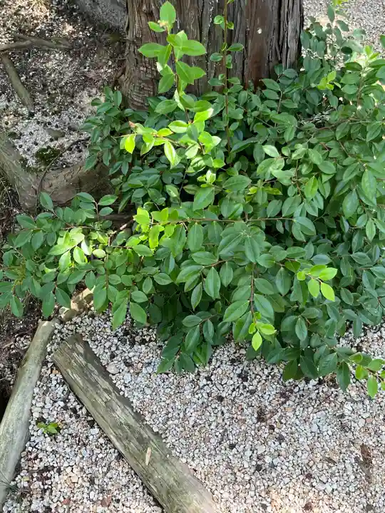 建部大社(滋賀県)