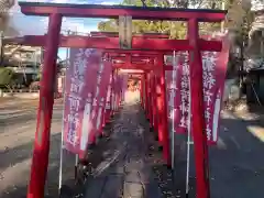 於菊稲荷神社の鳥居