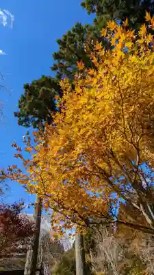 三千院門跡(京都府)