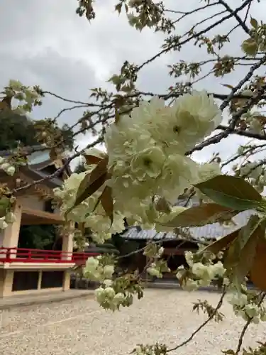 上地八幡宮(愛知県)