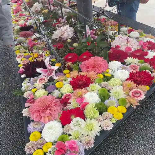 武蔵野坐令和神社(埼玉県)