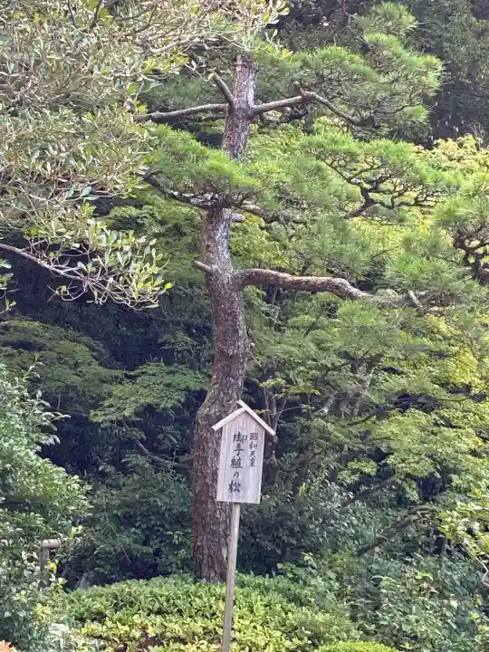 知恩院(京都府)