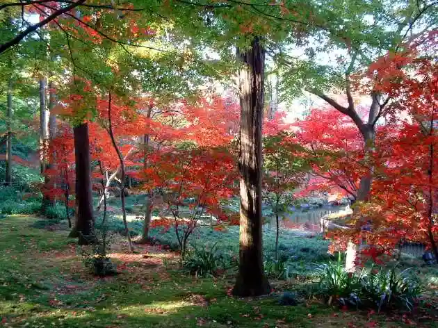 本土寺(千葉県)