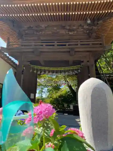 普門寺(切り絵御朱印発祥の寺)の山門・神門