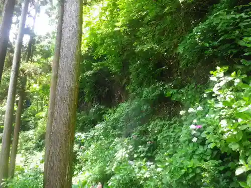 御霊神社の自然