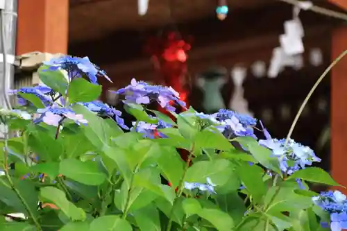 阿久津「田村神社」（郡山市阿久津町）旧社名：伊豆箱根三嶋三社の庭園