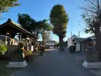 駒形観音堂(千葉県)