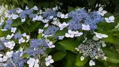 大松禅寺(京都府)