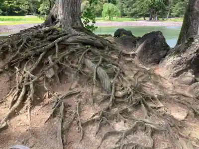 毛越寺(岩手県)