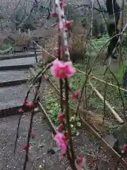 龍尾神社(静岡県)