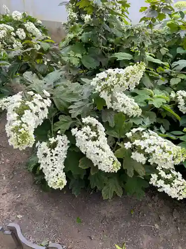 能護寺(埼玉県)