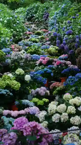 長谷寺(奈良県)