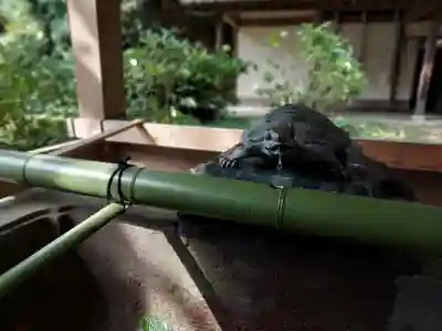 江島神社の手水舎