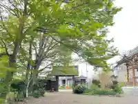 興敬寺の{uncategorized: "未分類", other: "その他", undefined: "問題あり", building: "その他建物", grave: "お墓", sacred_gate: "鳥居", guardian: "狛犬", statue: "像", buddha: "仏像", history: "歴史", nature: "自然", garden: "庭園", animal: "動物", pagoda: "塔", temizu: "手水舎", mountain_gate: "山門・神門", sanctuary: "本殿・本堂", subordinate: "末社・摂社", art: "芸術", scenery: "景色", jizo: "地蔵", ema: "絵馬", goshuin: "御朱印", omikuji: "おみくじ", items: "授与品その他", amulet: "お守り", goshuincho: "御朱印帳", eats: "食事", festival: "お祭り", votive_dance: "神楽", shichigosan: "七五三参", wedding: "結婚式", experience: "体験その他", initially: "初詣", around: "周辺", anti_infection: "感染症対策"}