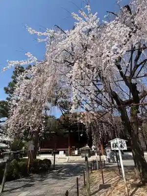 大報恩寺（千本釈迦堂）の{uncategorized: "未分類", other: "その他", undefined: "問題あり", building: "その他建物", grave: "お墓", sacred_gate: "鳥居", guardian: "狛犬", statue: "像", buddha: "仏像", history: "歴史", nature: "自然", garden: "庭園", animal: "動物", pagoda: "塔", temizu: "手水舎", mountain_gate: "山門・神門", sanctuary: "本殿・本堂", subordinate: "末社・摂社", art: "芸術", scenery: "景色", jizo: "地蔵", ema: "絵馬", goshuin: "御朱印", omikuji: "おみくじ", items: "授与品その他", amulet: "お守り", goshuincho: "御朱印帳", eats: "食事", festival: "お祭り", votive_dance: "神楽", shichigosan: "七五三参", wedding: "結婚式", experience: "体験その他", initially: "初詣", around: "周辺", anti_infection: "感染症対策"}