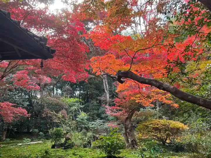 厭離庵(京都府)