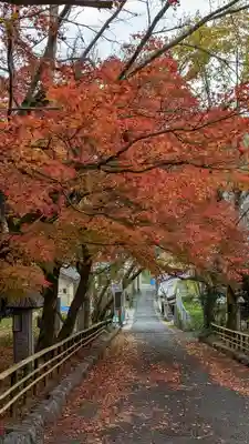 岩屋寺(京都府)