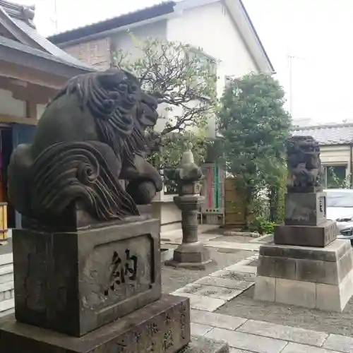 穏田神社の狛犬