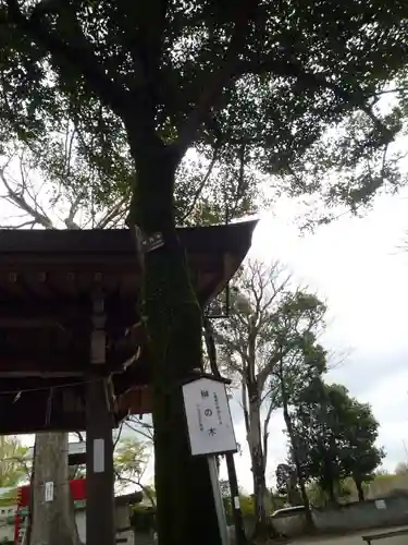 一言主神社の自然