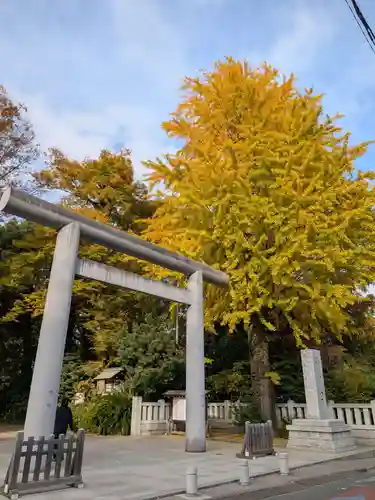 阿佐ヶ谷神明宮(東京都)