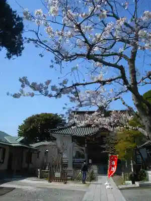 妙隆寺の本殿・本堂