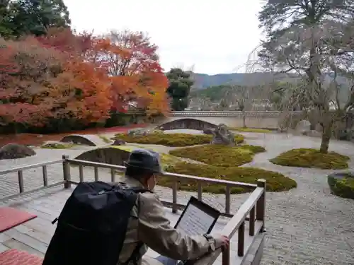 実相院門跡の庭園