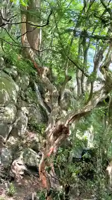 最乗寺（道了尊）(神奈川県)