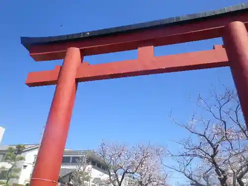 鶴岡八幡宮の鳥居