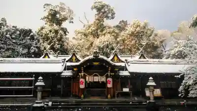 平野神社の本殿・本堂