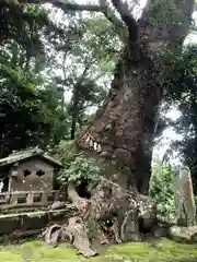 生目神社の自然