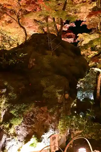 宝厳院(京都府)