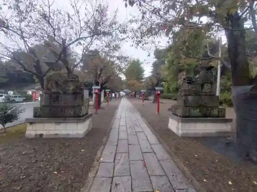 鷲宮神社(埼玉県)