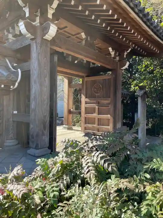 高円寺の山門・神門