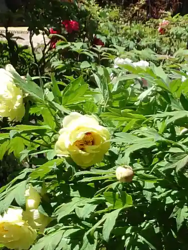 宝徳寺(群馬県)