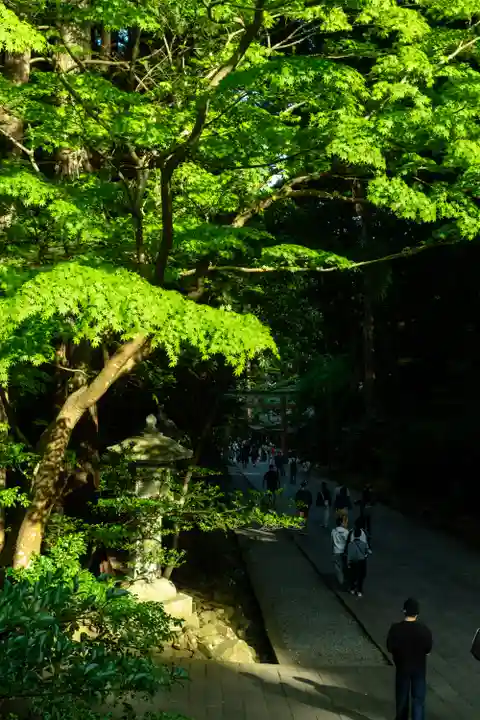 彌彦神社(新潟県)