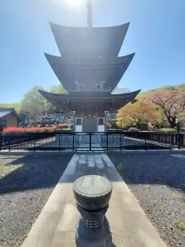 大雄院(群馬県)