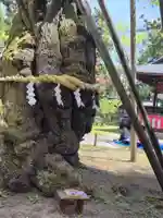 蠶養國神社(福島県)
