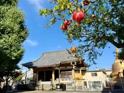 福王山  慈眼寺(東京都)