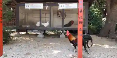 助松神社(大阪府)
