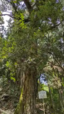 清瀧宮(西笠取清瀧宮)(京都府)