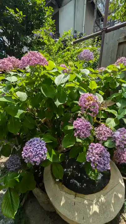 和光寺(大阪府)